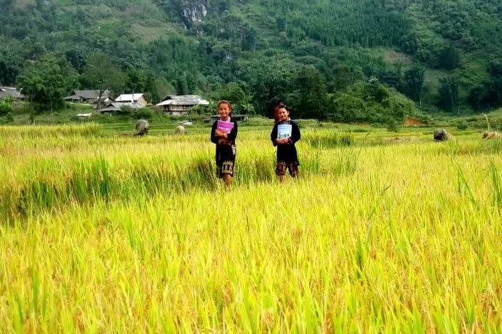 SAPA TREKKING TOUR BY BUS (1 night in local homestay 1 night in hotel) image