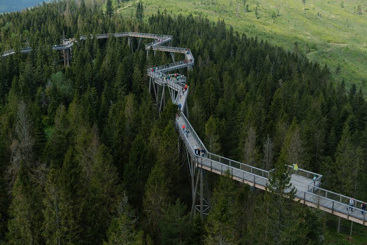 Full-Day Tour of Zakopane and Slovakia Treetop from Krakow image