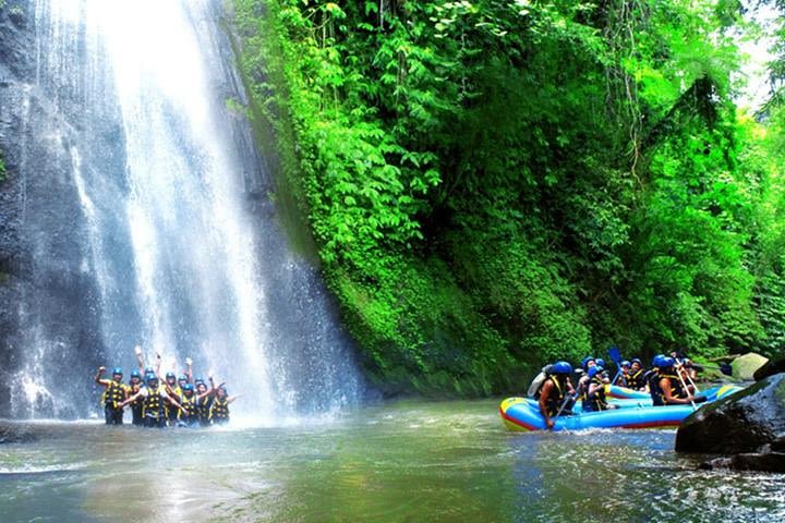 Ayung River Bali: White Water Rafting with Lunch and Transfers image