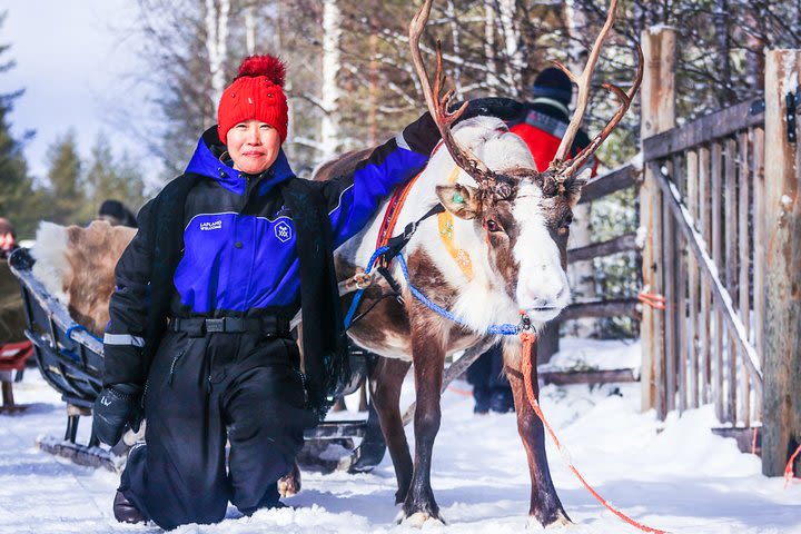 All Day Reindeer Adventure image