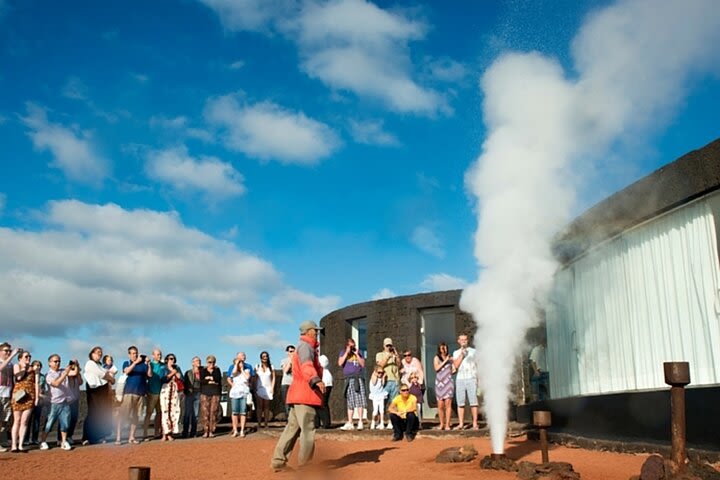 Grand Tour "Discover Lanzarote" with Camel Ride image