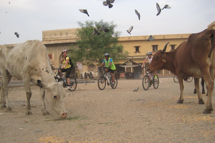 3-Hour Morning Bike Tour of Jaipur image