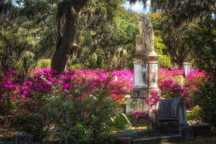 Savannah's Bonaventure Cemetery Walking Tour image