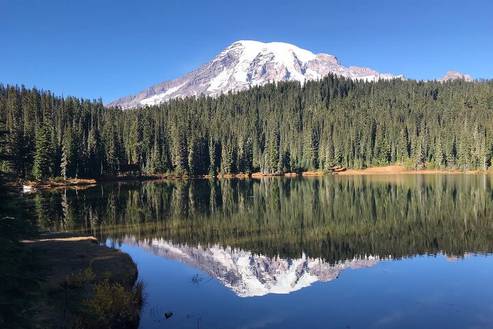 Mt. Rainier Day Trip from Seattle image