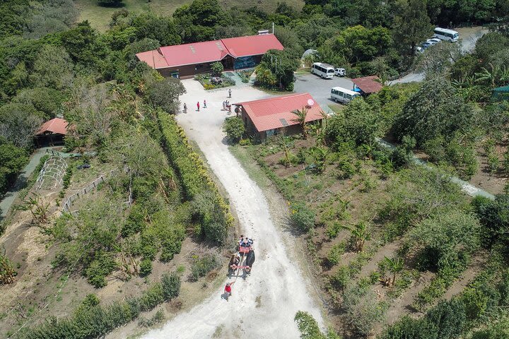 Monteverde One Day Tour from La Fortuna image