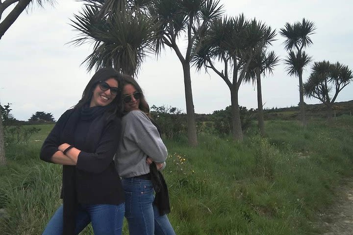 Howth Walking Tours experience not to be missed with John.. image