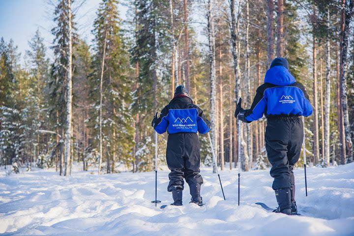 Ski Trekking Safari in Lapland  image