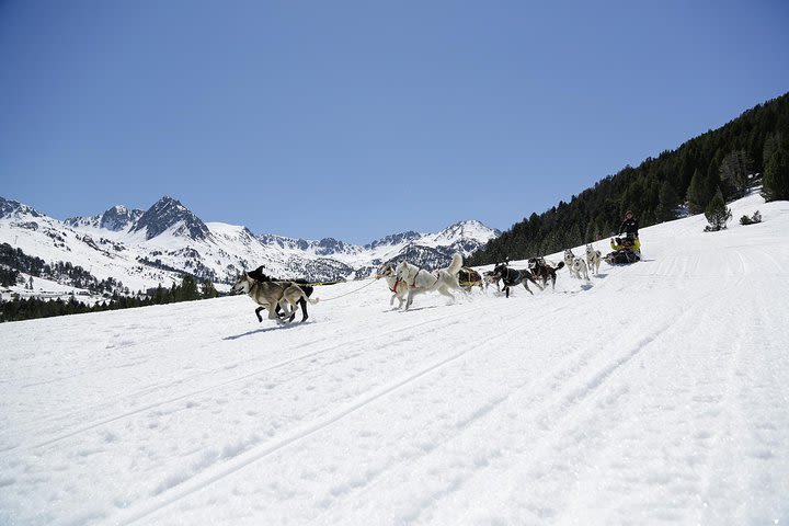 Dog Sledging in Andorra image