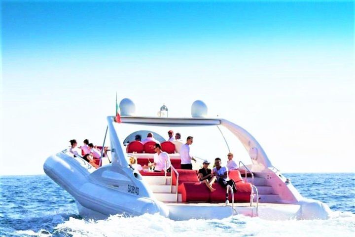 Luxury Opera 60 Whale & Dolphin Watching Experience  image