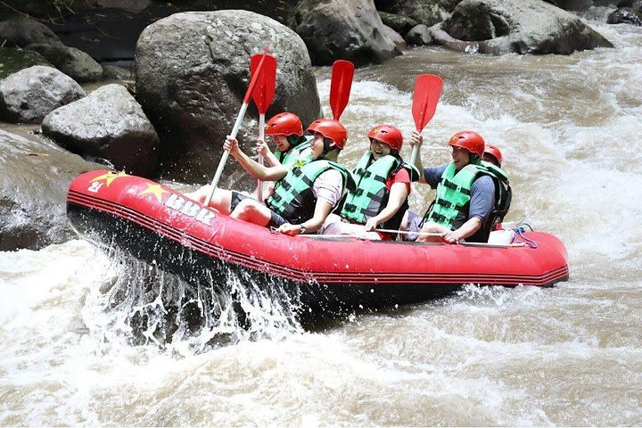 Ayung River white Water Rafting image