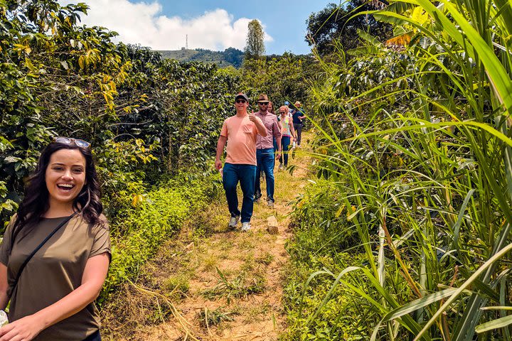 Most complete Coffee Tour in Medellín: From the Seed to the Cup in just half day image