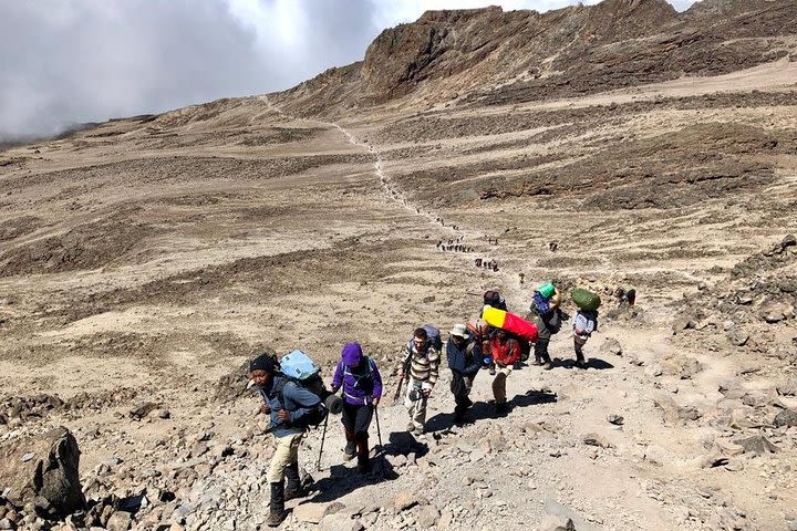 8-Day Kilimanjaro Guided Hiking Adventure by the Marangu Route image