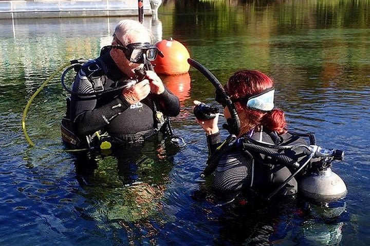 SCUBA Diving Lesson in Crystal River (Rainbow River Dive) image