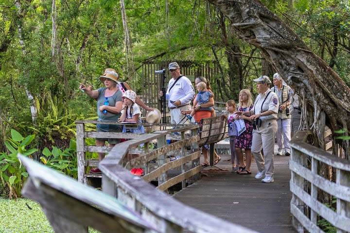 Everglades Airboat Adventure with Transport from Miami  image