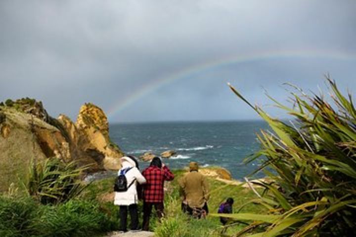 Iconic Shore Excursion: Coastal Adventure to the Moeraki Boulders  image