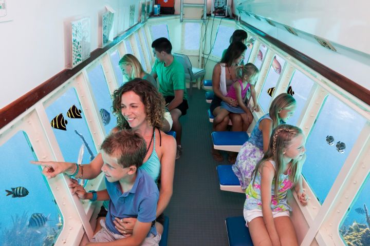 Aruba Semi-Submarine Cruise from Palm Beach image