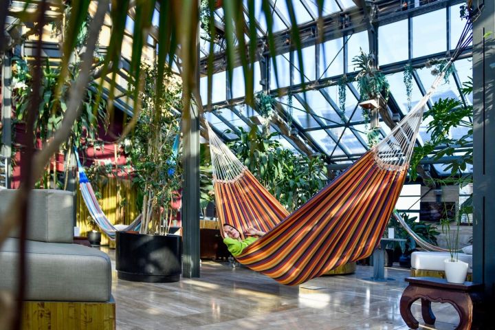 Exclusive Palm House Access at Széchenyi Thermal Spa image