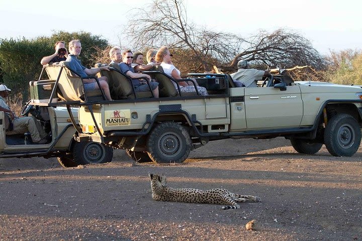 5 Days Gaborone & Mashatu Game Reserve image