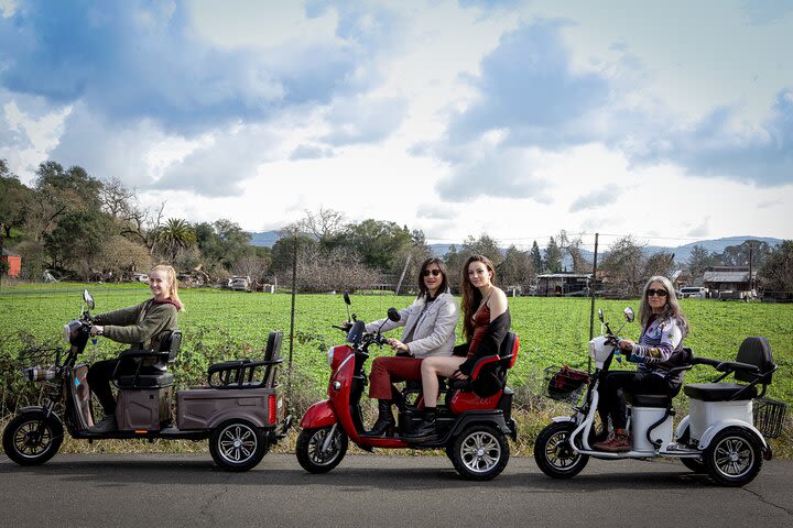 3 hr Guided Wine Country Tour in Sonoma on Electric Trike (2 person min) image