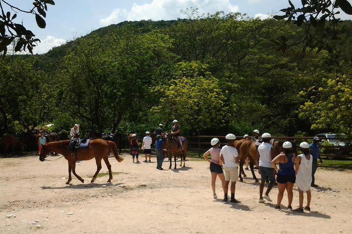 Green Grotto Caves and Horseback Riding from Falmouth image