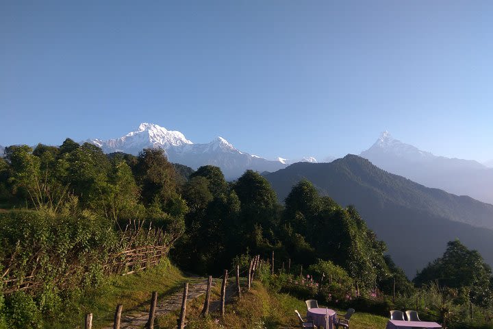 Mardi Himal Trek 6 days - Magnificent Views  image