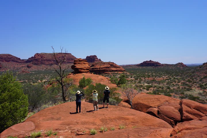 Palm Valley and Hermannsburg 1 Day 4WD Tour image