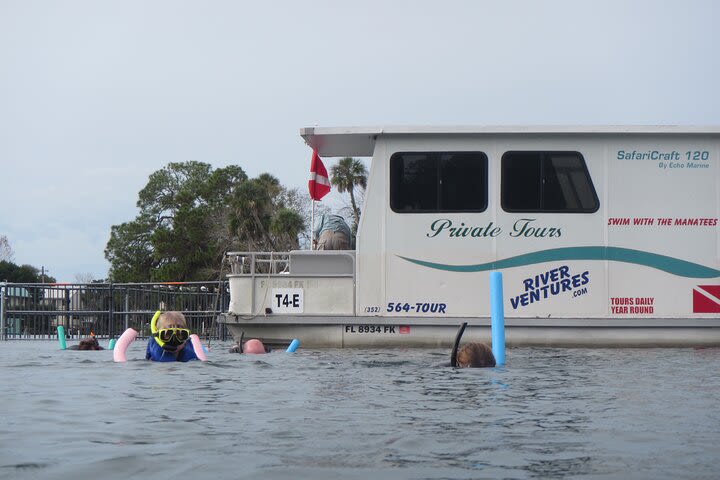 Homosassa Semi-Private Houseboat Swim with the Manatee Tour image