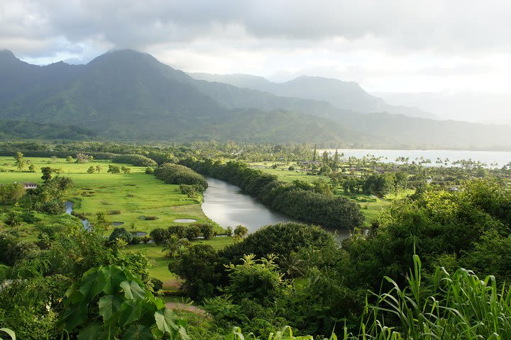 Kauai East Side and North Shore Private Guided Tour image