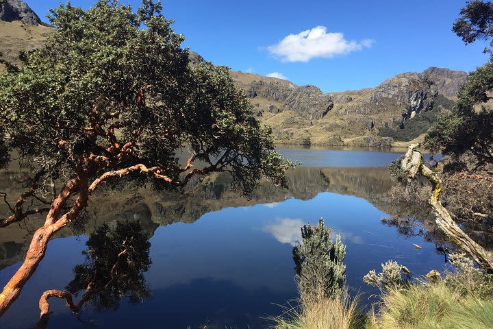 Cuenca to Guayaquil one-way tour with Cajas Park and a Cacao Farm visit image