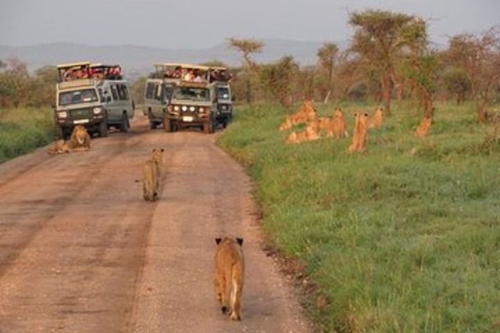 3days Tarangire,Ngorongoro Crater and lake Manyara  image