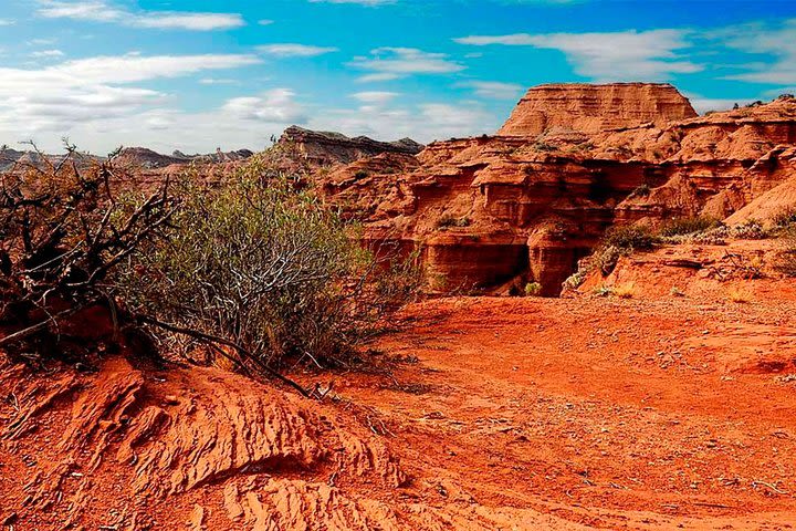 Visit to Sierra las Quijadas National Park at San Luis image