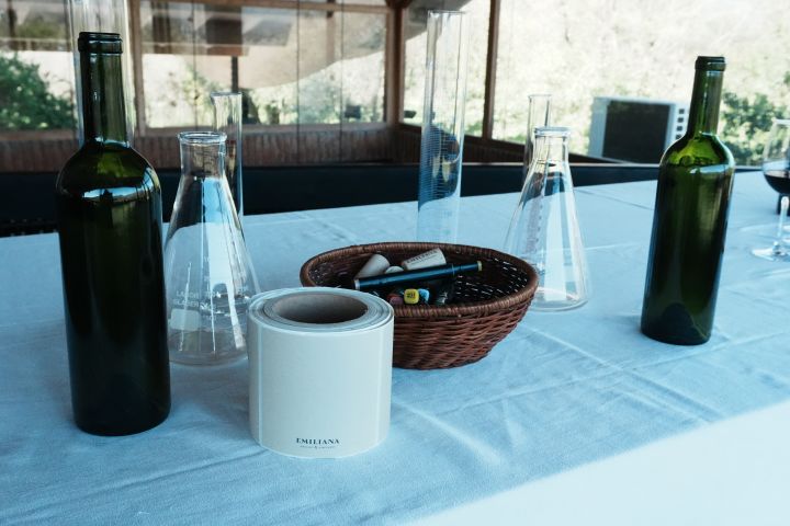 Faça o seu próprio vinho na Viña Emiliana! image