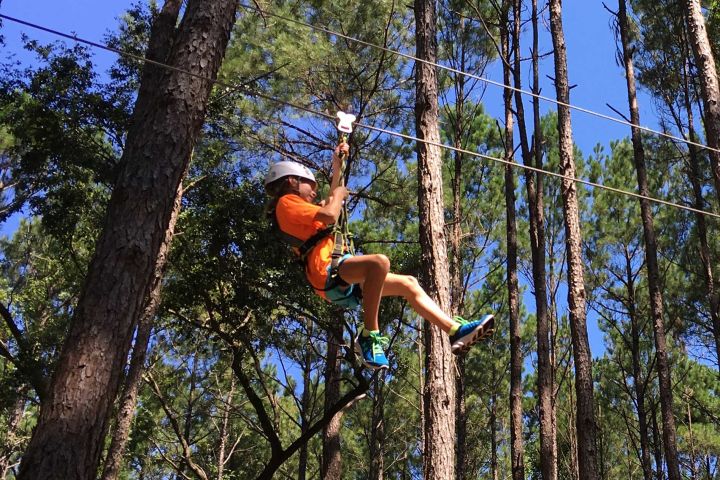 Kids Zip Line Tour - Charleston, SC - Family-friendly image