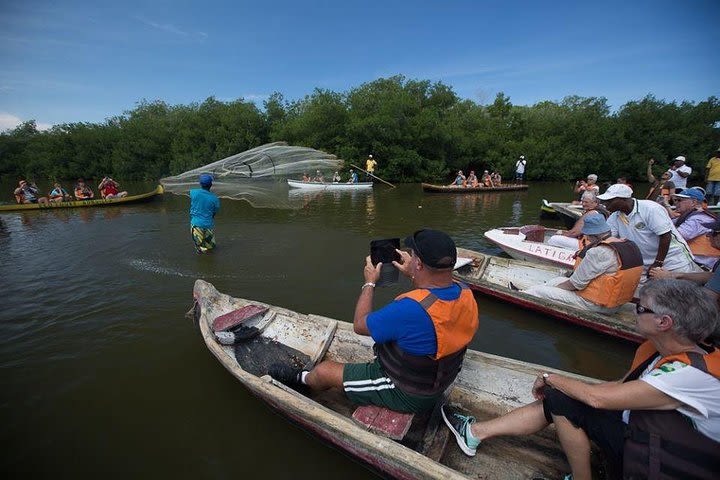 Mangrove Adventure image