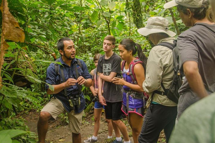 Arenal 1968 Park Trekking Tour image