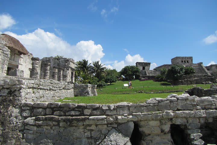Tulum Ruins and Swimming With Turtles Day Tour image