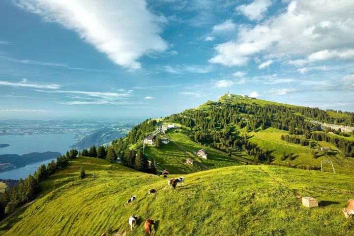 Rigi Queen of Mountains and Lucerne Day Trip image