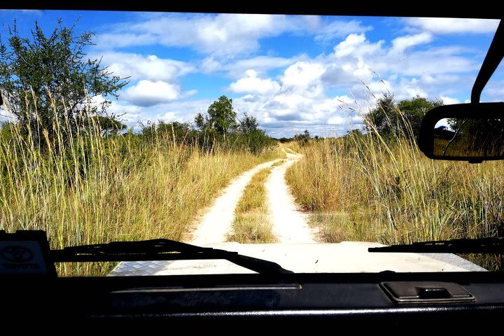 2 Nights Camping safari in Hwange National Park  image