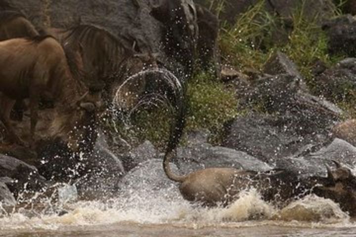 8 days / 7 nights Mid Range Safari image