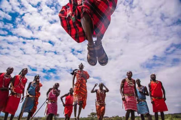 8 days masai mara migration photographer only  image