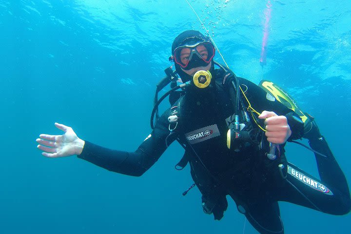 2-Day Supervised Scuba Diver Training in the Calanques National Park from Marseille image