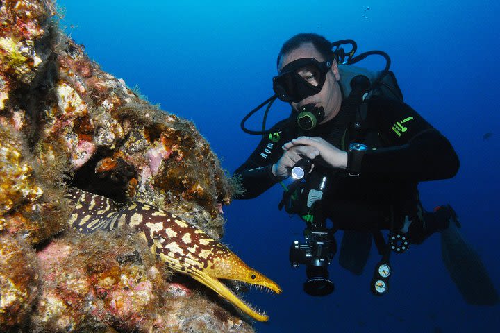 Scuba Diving Multi Dives in Playa de la Americas image