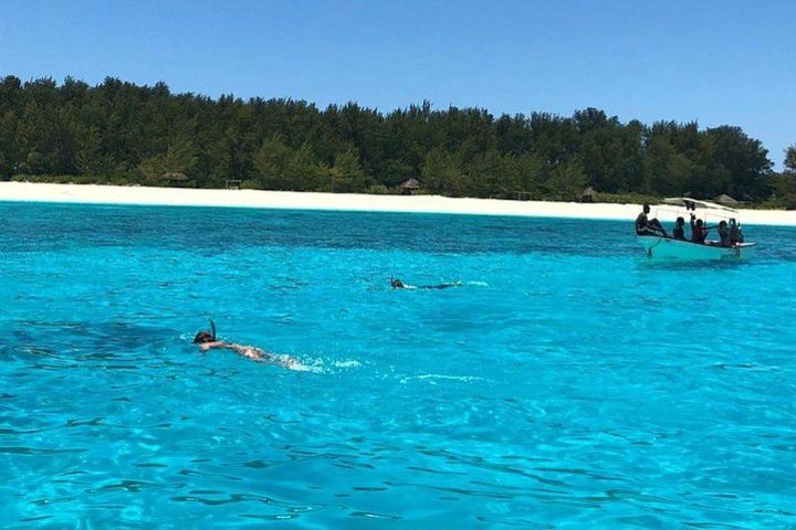 Snorkeling at Mnemba Atoll image