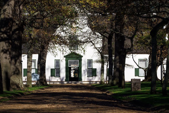 Constantia Wine Tour with a Local Expert: 100% Personalized & Private image