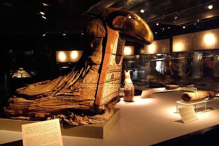 Half Day Tour Visit Luxor And Mummifications Museums image