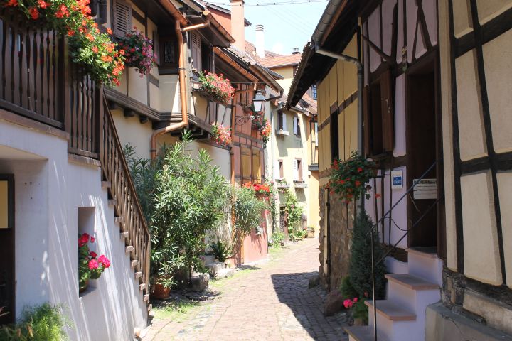 3 Days Alsace Small Group Day Trips from Strasbourg (shared) image