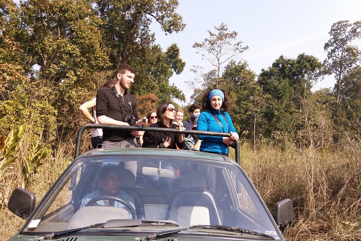 Jeep Safari ( inside Chitwan National Park, 8-10 hrs.), Minimum 4person required image