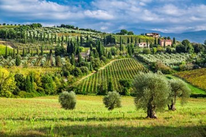 Wine and Food Tour in the Lucca Countryside in small group image