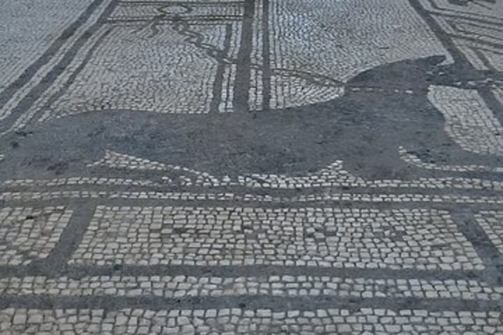 Best of Pompeii - Private Tour image