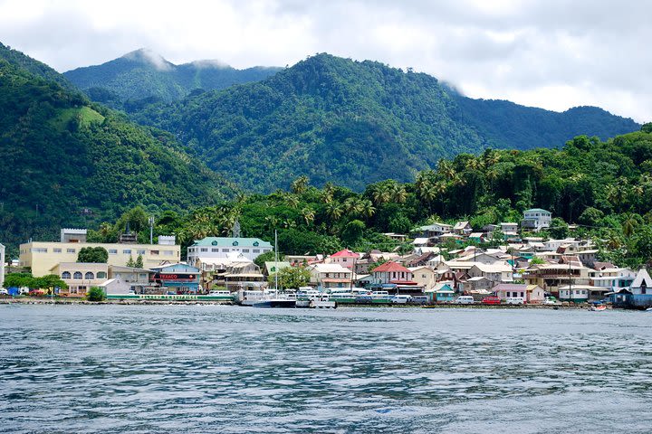 Soufriere Island Delight  image